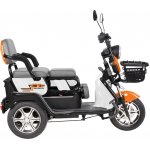 RURIS RURIIS PILOT 3010A - elektrická tříkolka 1000W – Zboží Mobilmania
