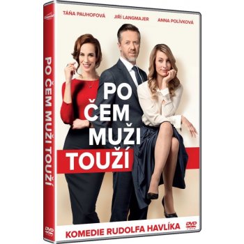 Po čem muži touží DVD