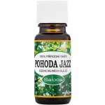 Saloos Směs esenciálních olejů Pohoda Jazz 10 ml – Hledejceny.cz