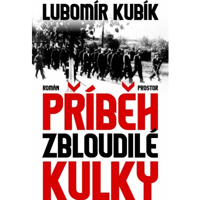 Kubík Lubomír - Příběh zbloudilé kulky – Hledejceny.cz