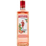 Beefeater Peach & Raspberry 37,5% 0,7 l (holá láhev) – Zbozi.Blesk.cz