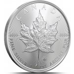 Royal Canadian Mint Stříbrná mince Maple Leaf 2026 1 oz – Zboží Dáma