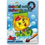 Malování vodou Cestovanie Svojtka&Co. – Zboží Dáma