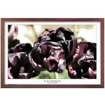 Tradag Rámeček Natura hnědý 40x60 – Zboží Živě