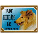 Dafiko Tabulka kolie – Hledejceny.cz