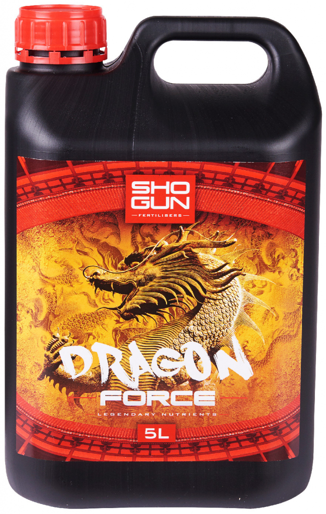 Shogun Dragon Force 5 l