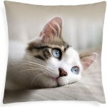 Xpose Kočka 3 40 x 40 cm – Zboží Mobilmania