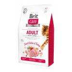 Brit Care Cat Grain-Free Adult Activity Support 2 kg – Hledejceny.cz