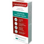 Canesbalance vaginální gel 7 x 5 ml – Hledejceny.cz