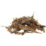 UGF sušené rybičky 500 ml – Hledejceny.cz