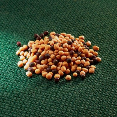 AROS zelené hnojení (hořčice + řepka) – Zboží Mobilmania