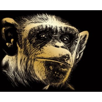 Vyškrabovací obrázek zlatý Opice