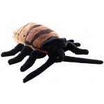 Šváb syčící 20 cm – Sleviste.cz