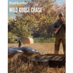 theHunter: Call of the Wild - Wild Goose Chase Gear – Hledejceny.cz