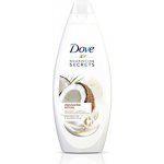 Dove Nourishing Secrets Restoring Ritual sprchový gel 250 ml – Sleviste.cz