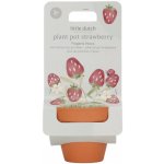 Little Dutch květináč jahody Forest Friends – Zbozi.Blesk.cz