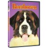 Beethoven DVD