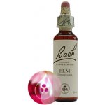 Bachovy květové esence Jilm Elm 20 ml – Hledejceny.cz