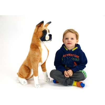 sedící pes boxervýška 64 cm