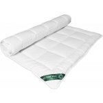 2G Lipov přikrývka Aloe Vera 200x220 – Zboží Dáma