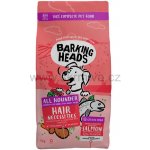 Barking Heads All Hounder Hair Necessities Salmon 12 kg – Hledejceny.cz