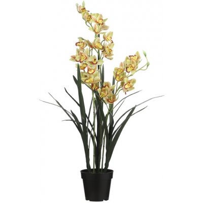Orchidej - Cymbidium v obalu zelená V117 cm – Zbozi.Blesk.cz