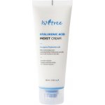 Isntree Hyaluronic Acid Moist Cream 100 ml – Zboží Dáma
