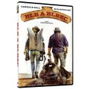 Hill Terence: Blb a blbec DVD