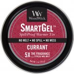 WoodWick SmartGel vonný gel Rybíz 28 g – Hledejceny.cz