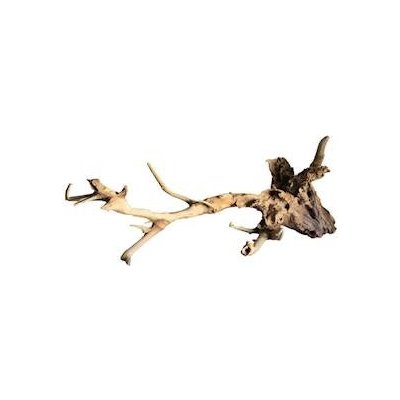 Macenauer kořen Talawa Wood L 50-70 cm – Zboží Mobilmania