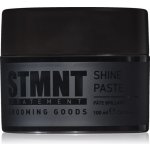 STMNT Shine Paste 100 ml – Zboží Mobilmania