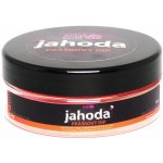 Skull fish práškový Dip jahoda 50 g – Hledejceny.cz