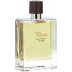 Hermès Terre d'Hermès Eau Intense Vétiver parfémovaná voda pánská 100 ml tester – Hledejceny.cz