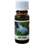 Kozáček Vonná esence Tea Tree 10 ml – Hledejceny.cz