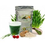 Bio-Detox Green MIX 220 g – Hledejceny.cz