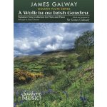 A Walk in an Irish Garden pro příčnou flétnu a klavír – Hledejceny.cz