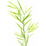 Potamogeton malaianus – Sleviste.cz