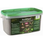 Diversa Nutriplant 5 l – Zbozi.Blesk.cz