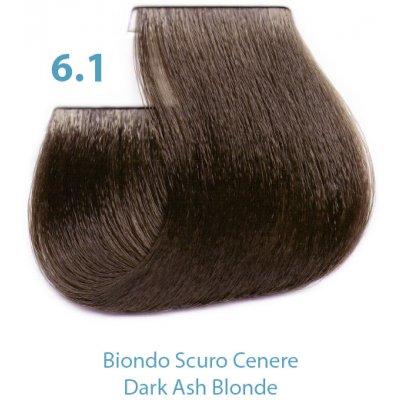 Silky Dressing barva na vlasy 6.1 100 ml