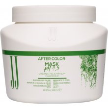 JJ After Color Maska po barvení a odbarvování, pH 4,5 pro stabilizaci barvy 500 ml