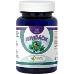 Natural Pharm Koviďáčik Vitamin C Zinek D3 2000 I.U. 100 tablet – Hledejceny.cz