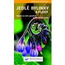 Jedlé bylinky a plody - Naučte se znát a používat nejdůležitější druhy