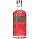 Absolut Watermelon 38% 0,7 l (holá láhev)