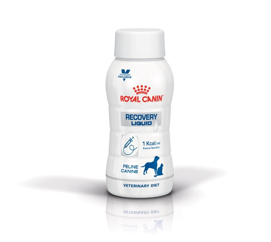 Royal Canin Veterinary Diet Dog Recovery Liquid 3 x 200 ml