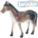 Bruder kůň