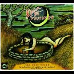 Drive-By Truckers - Fine Print (Gatefold Sleeve) (Crystal Blue Curacao Coloured) (2 ) LP – Hledejceny.cz