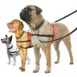 Halti Originál výcvikový postroj pro psa L – Zboží Dáma