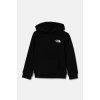 Dětská mikina The North Face Redbox Regular P/o Hoodie černá