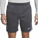 Nike THFC M NK DF STRK SHORT KZ – Zboží Mobilmania