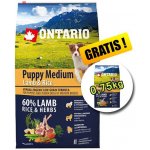 Ontario Puppy Medium Lamb & Rice 6,5 kg – Sleviste.cz